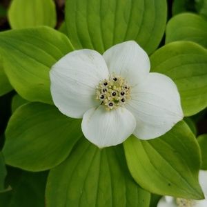 Meet your Posher, Val